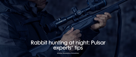 Rabbit hunting at night