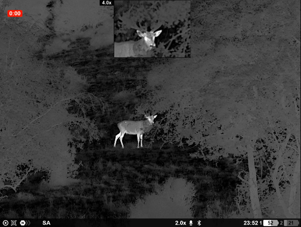 Understanding the Difference Between Night Vision and Thermal