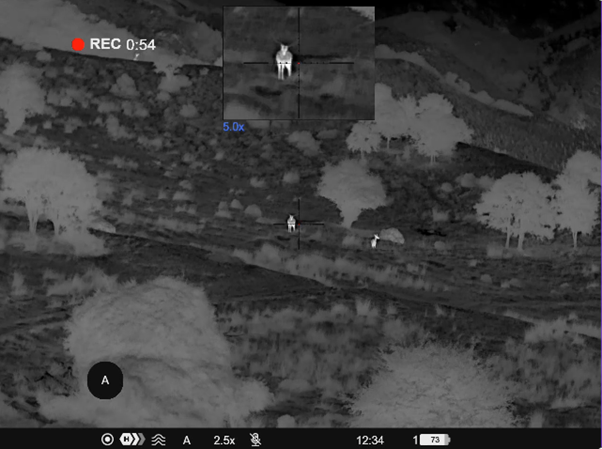 Thermal imaging, image Resolution, field-of-view and target identification