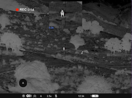 Thermal imaging, image Resolution, field-of-view and target identification