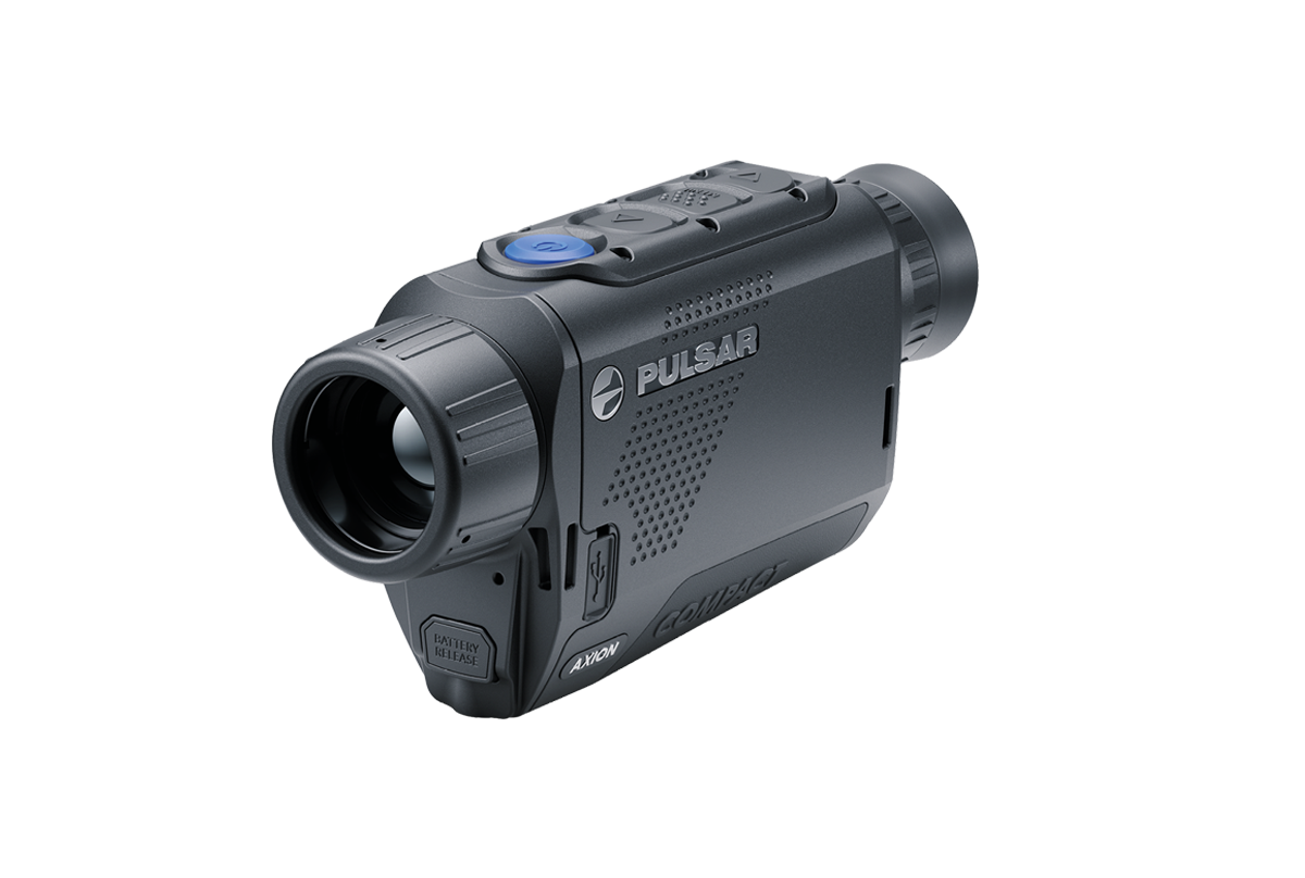 Pulsar Axion Compact