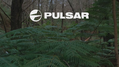 Pulsar Axion XQ19 Compact